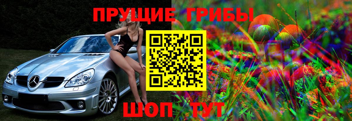 Псилоцибиновые грибы ЛСД  Вход с VPN  Пенза 