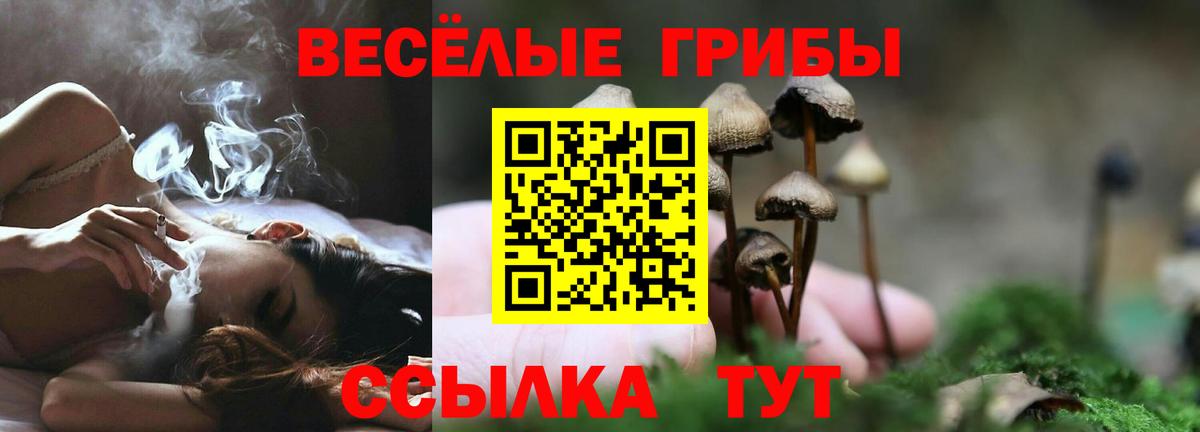 Псилоцибиновые грибы MAGIC MUSHROOMS Пенза